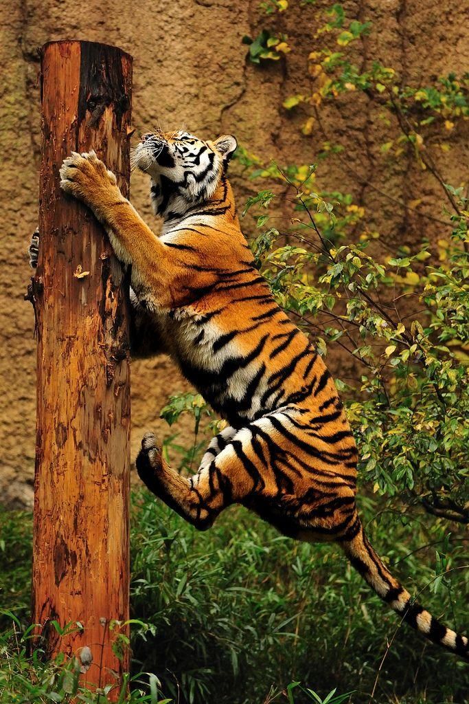 843cc22baac2328dc80a1bce9f8084c6